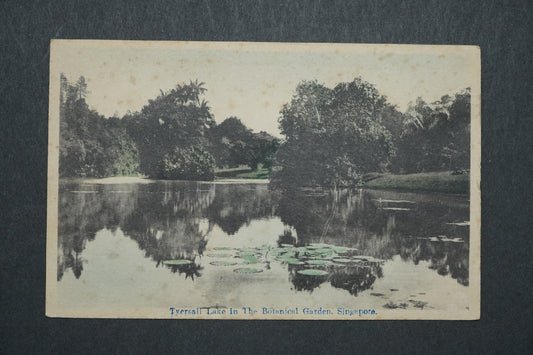 Pohlednice Tyersall Lake in The Botanical Garden, Singapore x10495
