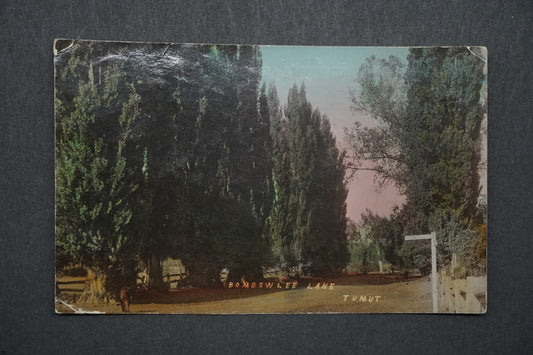 Pohlednice Bombowlee Lane, Tumut x10544