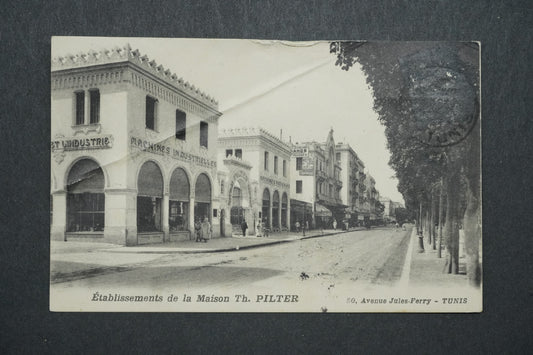 Pohlednice 50, Avenue Jules-Ferry - Tunis x10555