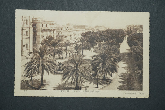 Pohlednice Tunis - Avenue Jules - Ferry x10558