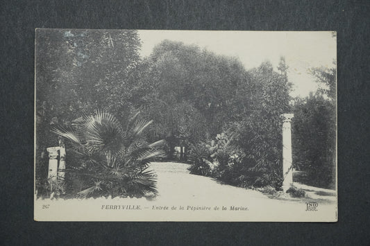 Pohlednice Ferryville - Entrée de la Pépiniére de la Marine x10562