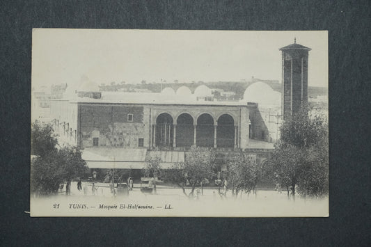 Pohlednice Tunis - Mosquée El - Halfaouine x10571
