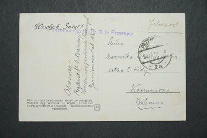 Pohlednice KRÓLOWA KORONY POLSKIEJ x10622