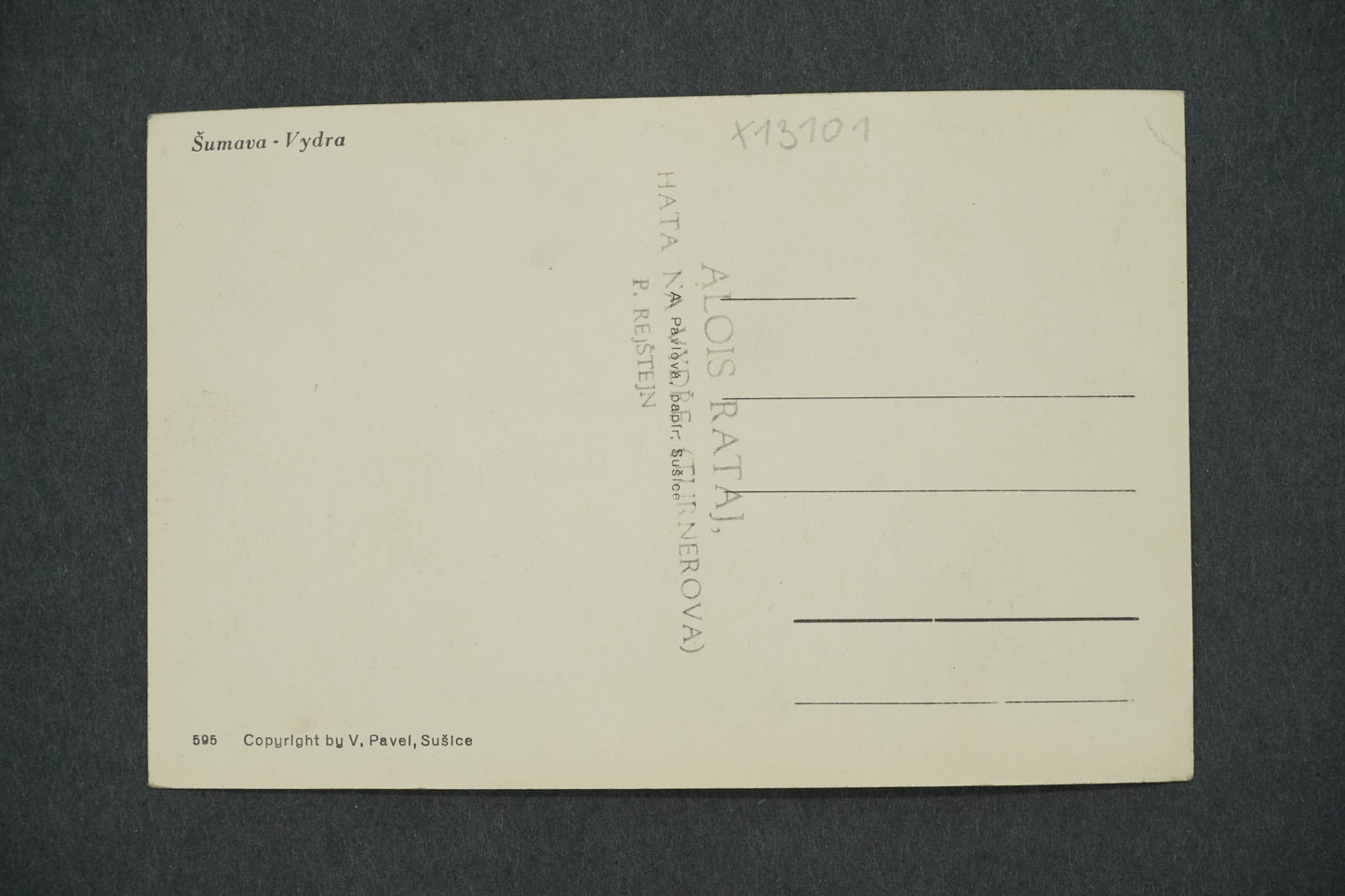 Postcard FOREST OTTLER (x13101)