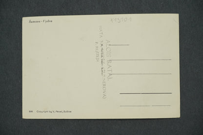 Postcard FOREST OTTLER (x13101)