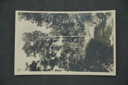 Postcard BELGRADE SPA - PHEASANT GAME (x13113)