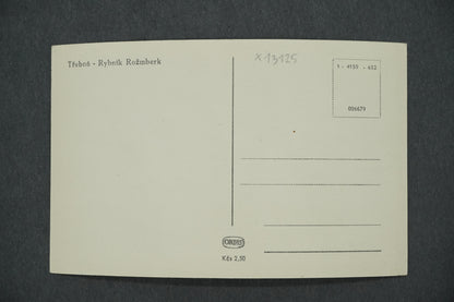 Postcard TŘEBOŇ - ROŽMBERK POND (x13125)