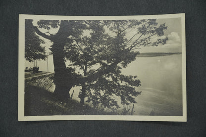 Postcard TŘEBOŇ - ROŽMBERK POND (x13125)