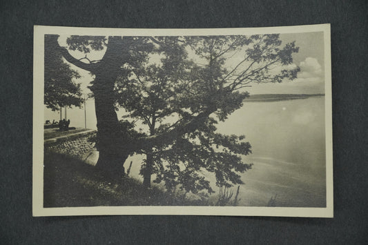 Postcard TŘEBOŇ - ROŽMBERK POND (x13125)