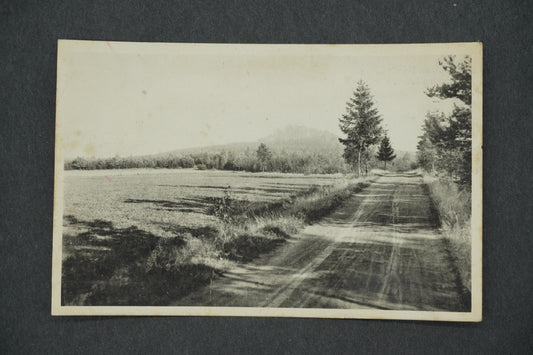 Pohlednice ZŘÍCENINA HRADU KUMBURKA (x13147)