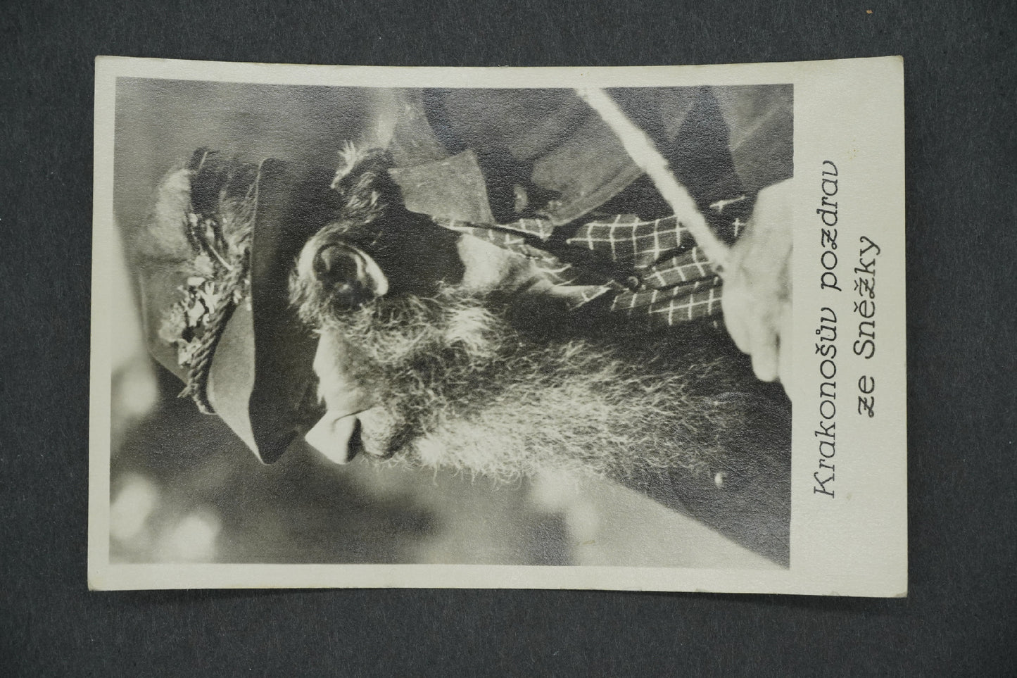 Pohlednice KRAKONOŠŮV POZDRAV ZE SNĚŽKY (x13150)