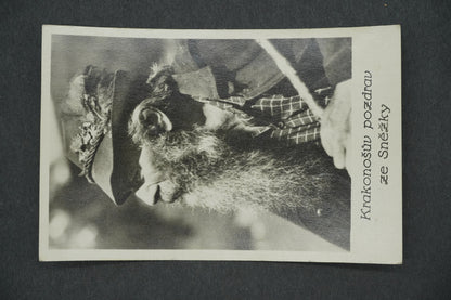 Pohlednice KRAKONOŠŮV POZDRAV ZE SNĚŽKY (x13150)