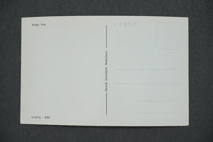 Postcard PODK. RUS. LICHTIG -2004 (x13155)