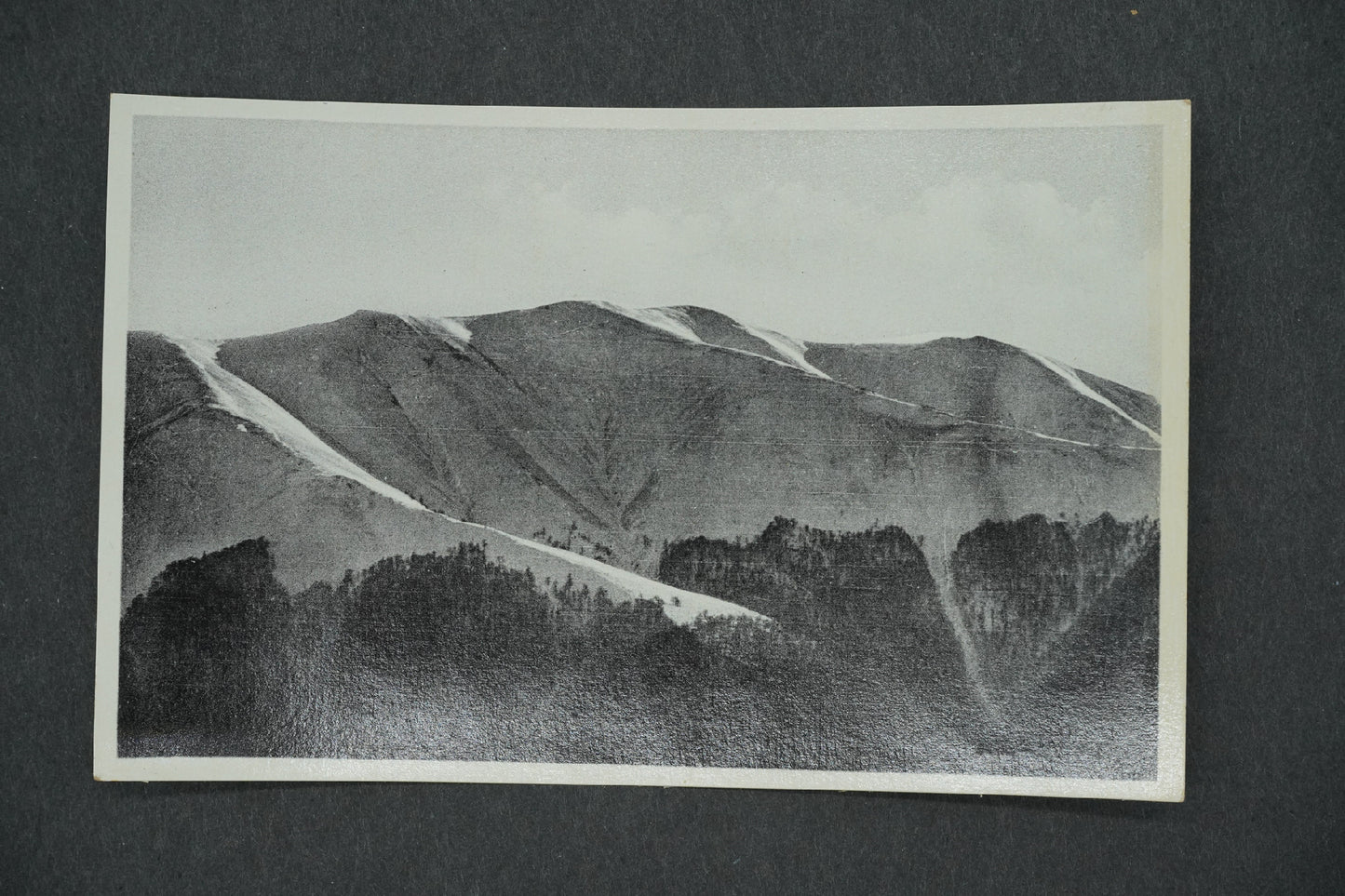 Postcard PODK. RUS. LICHTIG -2004 (x13155)