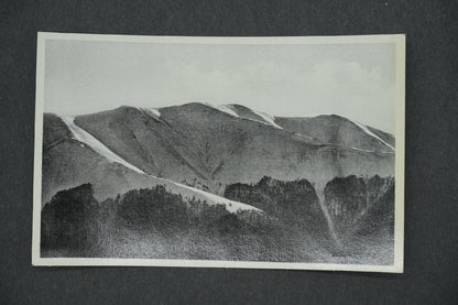 Postcard PODK. RUS. LICHTIG -2004 (x13155)