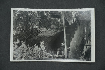 Postcard PUNK OUTLET (x13159)