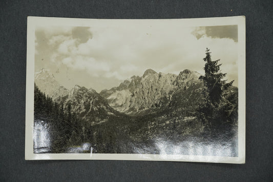 Pohlednice VYSOKÉ TATRY . MALÁ STUDENOVODSKÁ DOLINA (x13176)