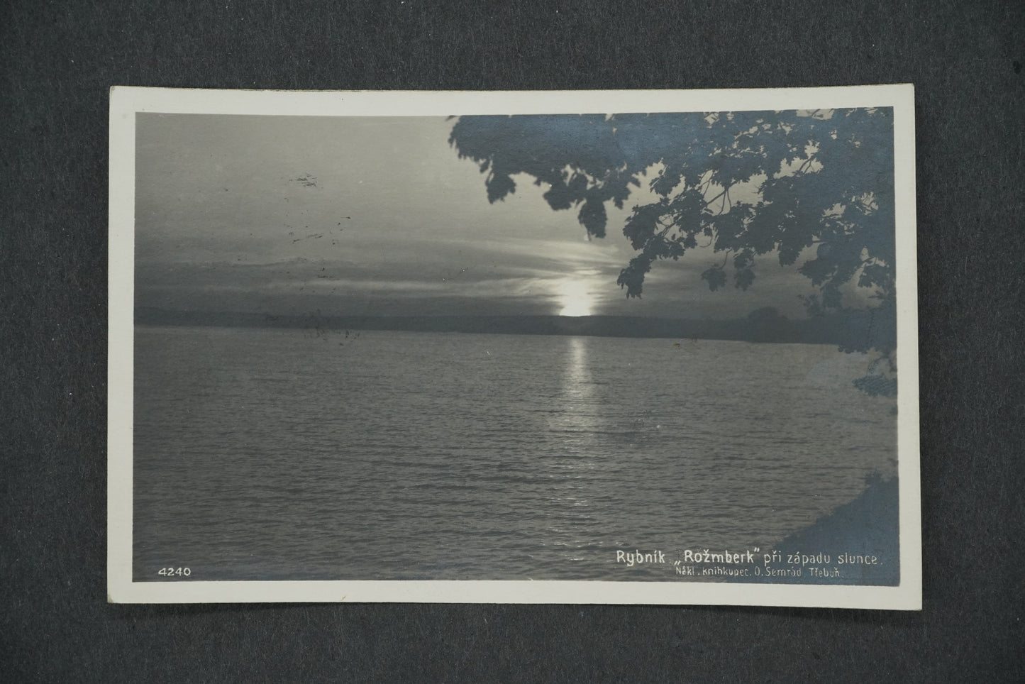 Pohlednice RYBNÍK ROŽMBERK (x13186)