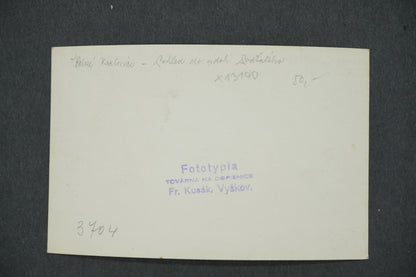 Pohlednice VELKÉ KARLOVICE - POHLED DO ÚDOLÍ (x13190)