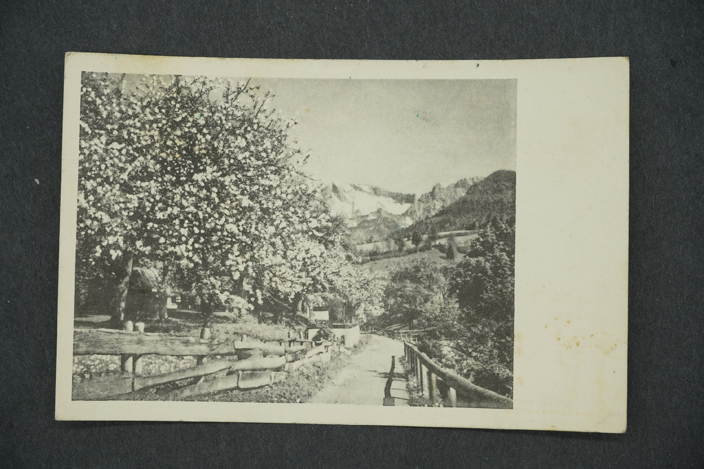 Postcard BOHEMIAN LANDSCAPE (x13203)