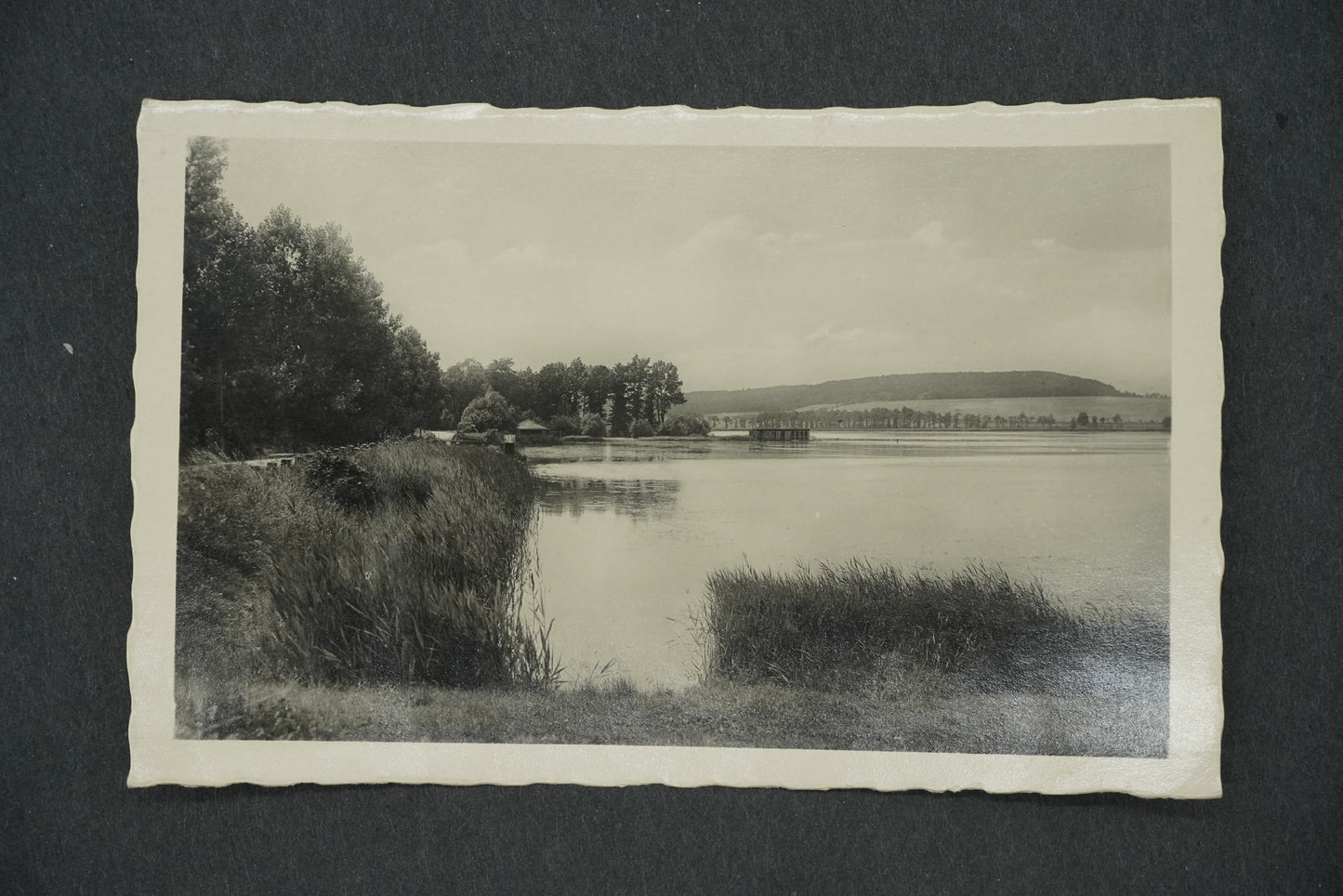 Postcard OPOČNO (x13204)