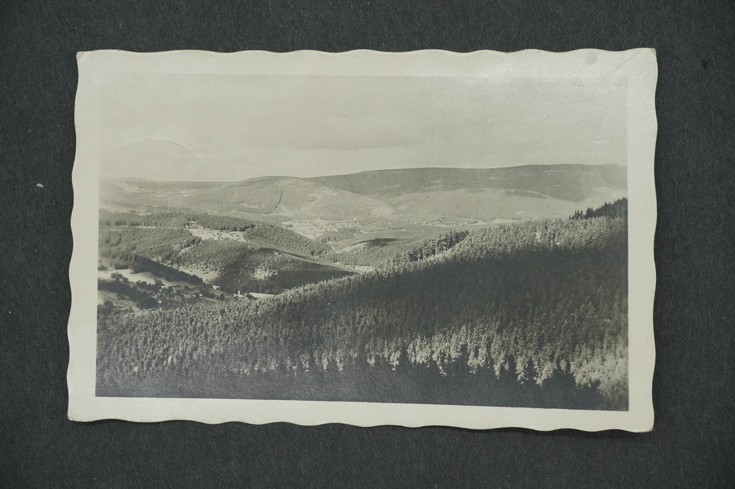 Postcard VIEW OF THE NEW WORLD WITH A STEPPEN (x13208)