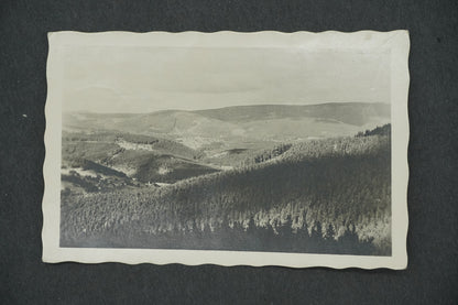 Postcard VIEW OF THE NEW WORLD WITH A STEPPEN (x13208)