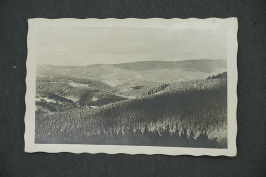 Postcard VIEW OF THE NEW WORLD WITH A STEPPEN (x13208)