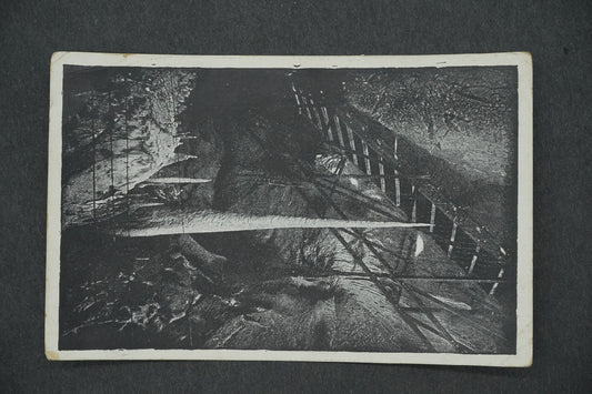 Postcard MACOCHA 138 M (x13245)