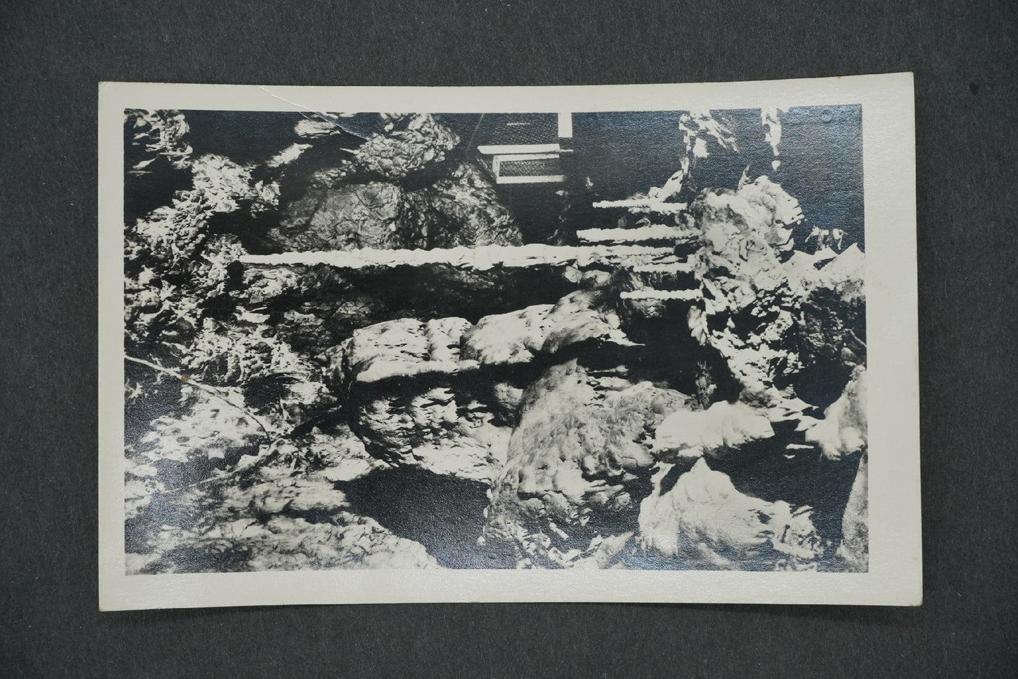 Postcard MACOCHA 138 M (x13249)