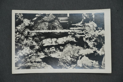 Postcard MACOCHA 138 M (x13249)