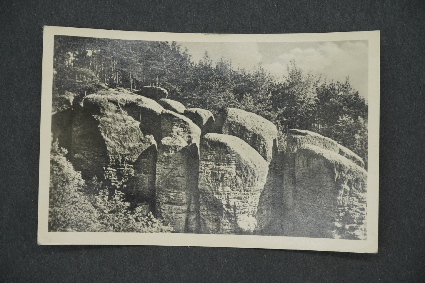 Pohlednice MŠENO U MĚLNÍKA (x13263)