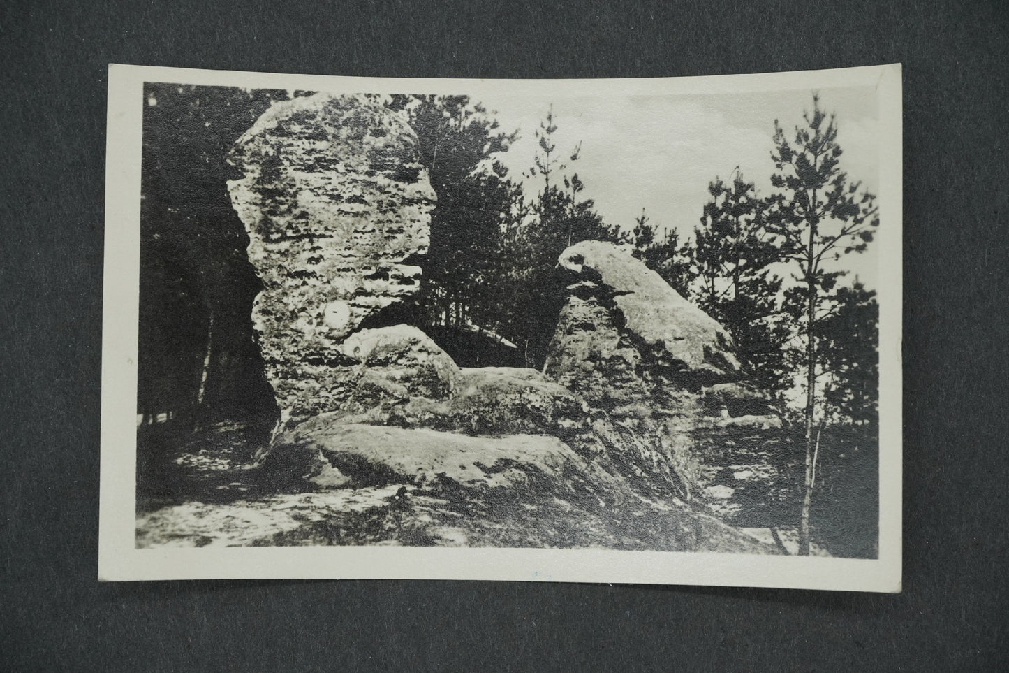 Postcard MŠENO AT THE MILLER'S (x13264)