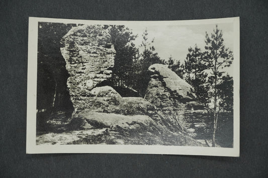 Pohlednice MŠENO U MĚLNÍKA (x13264)