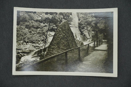 Postcard BOHEMIAN SWITZERLAND WILD GORGE - RAFTING (x13282)