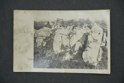 Postcard MŠENSKÉ LESY DUCK (x13285)