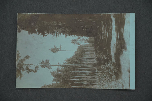 Postcard BOHEMIAN LANDSCAPE FOREST (x13288)