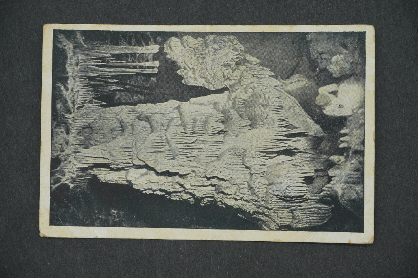 Postcard MACOCHA 138 M (x13289)