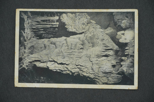 Postcard MACOCHA 138 M (x13289)