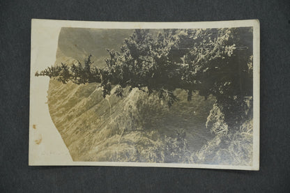 Postcard KRKONOSE SNOW WHITE (x13296)