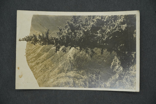 Postcard KRKONOSE SNOW WHITE (x13296)