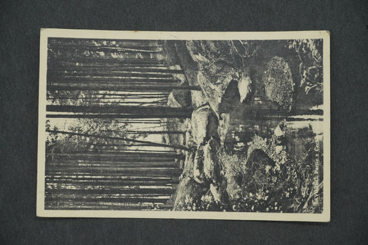 Pohlednice ŠKOVREC (x13302)