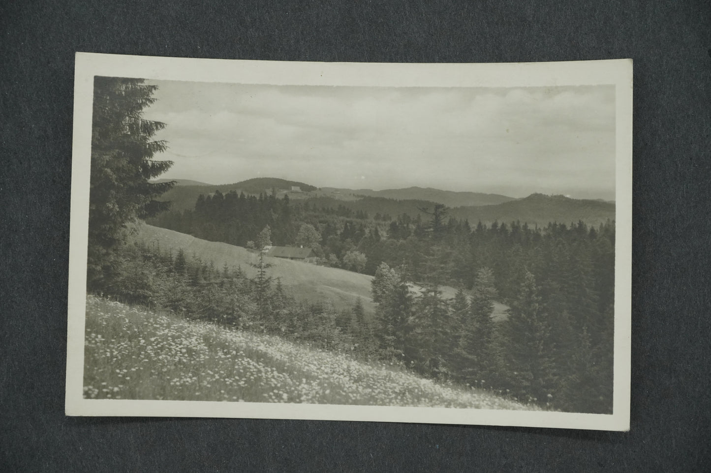 Pohlednice HOTEL KČT BÍLÝ KŘÍŽ POŠTA A ŽEL. ST. ST. HAMRY (x13304)