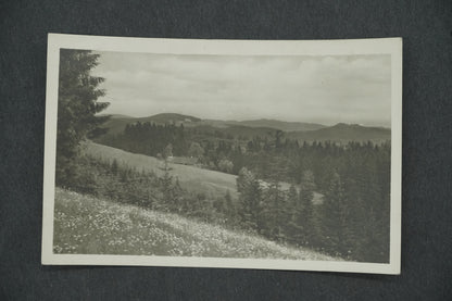 Pohlednice HOTEL KČT BÍLÝ KŘÍŽ POŠTA A ŽEL. ST. ST. HAMRY (x13304)