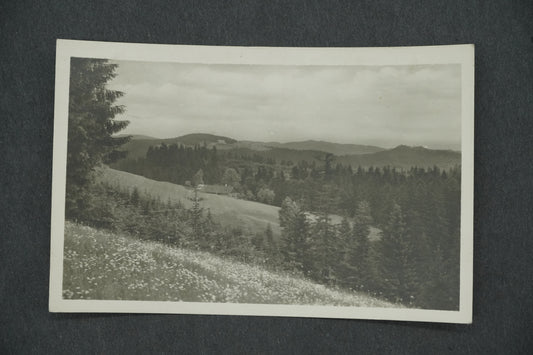 Pohlednice HOTEL KČT BÍLÝ KŘÍŽ POŠTA A ŽEL. ST. ST. HAMRY (x13304)