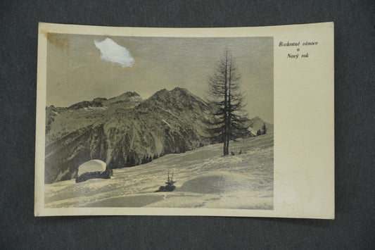 Pohlednice RADOSTNÉ VÁNOCE A NOVÝ ROK (x13311)