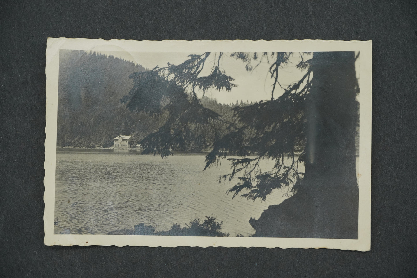 Pohlednice ŠUMAVA ČERNÉ JEZERO S JEZERNÍ STĚNOU 1008 M. N.M (x13315)