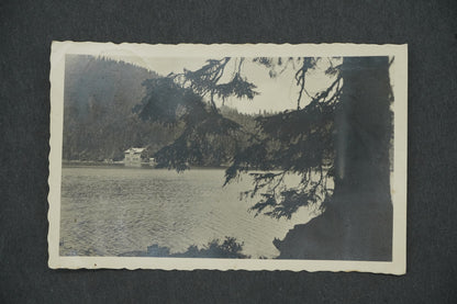 Pohlednice ŠUMAVA ČERNÉ JEZERO S JEZERNÍ STĚNOU 1008 M. N.M (x13315)