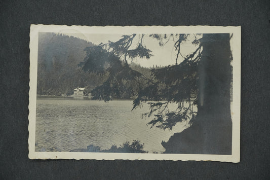 Pohlednice ŠUMAVA ČERNÉ JEZERO S JEZERNÍ STĚNOU 1008 M. N.M (x13315)