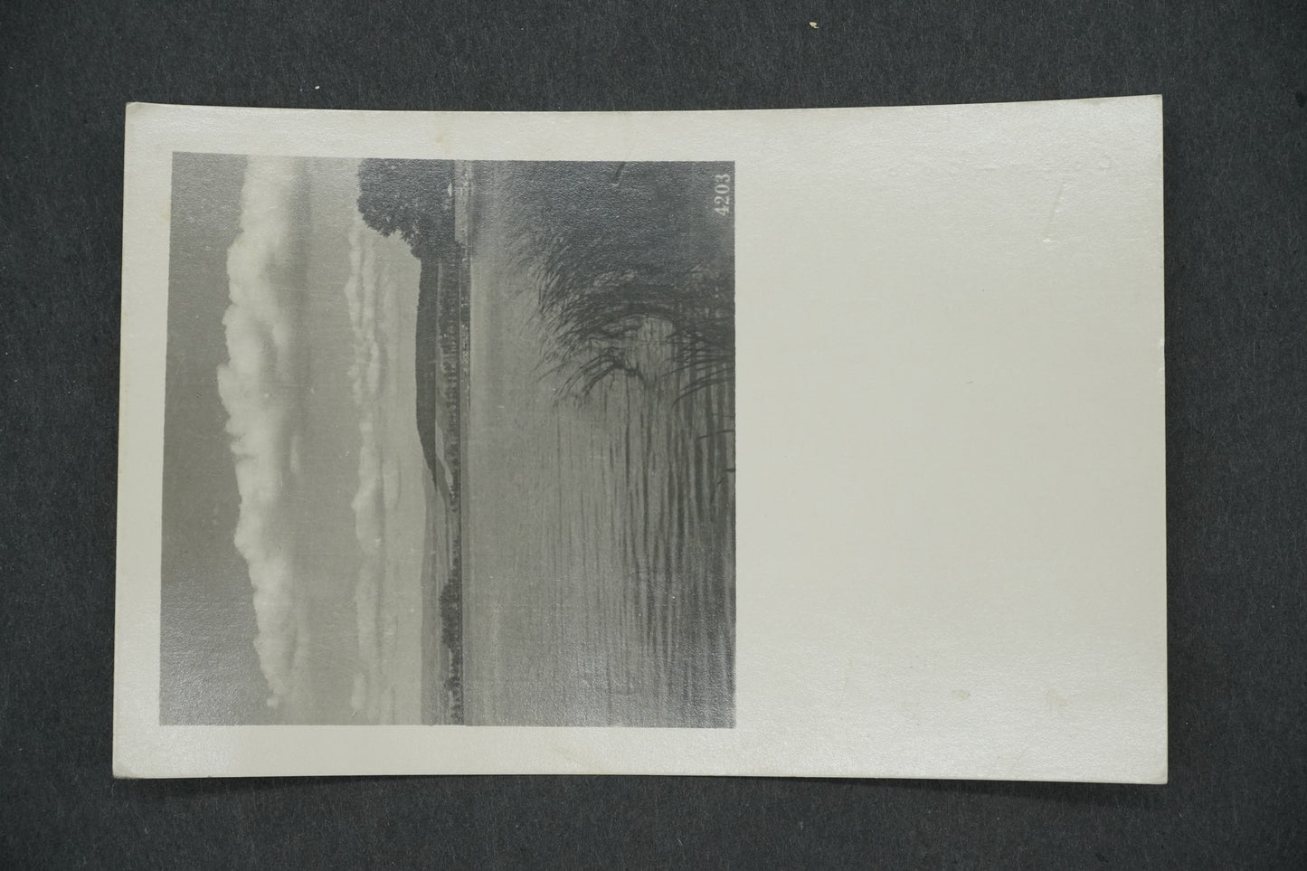 Pohlednice OPOČNO (x13326)